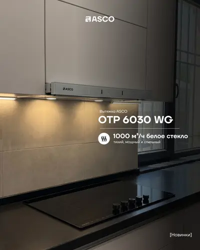 Выдвижная вытяжка ASCO OTP 6030 WG