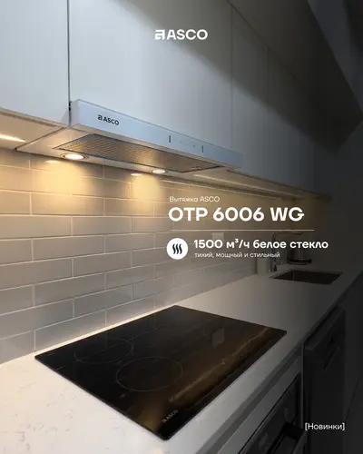 Выдвижная вытяжка ASCO OTP 6006 WG