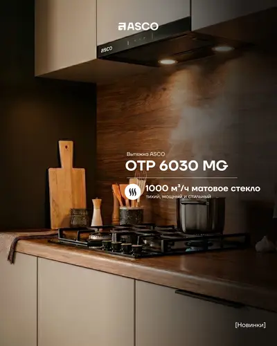 Выдвижная вытяжка ASCO OTP 6030 MG