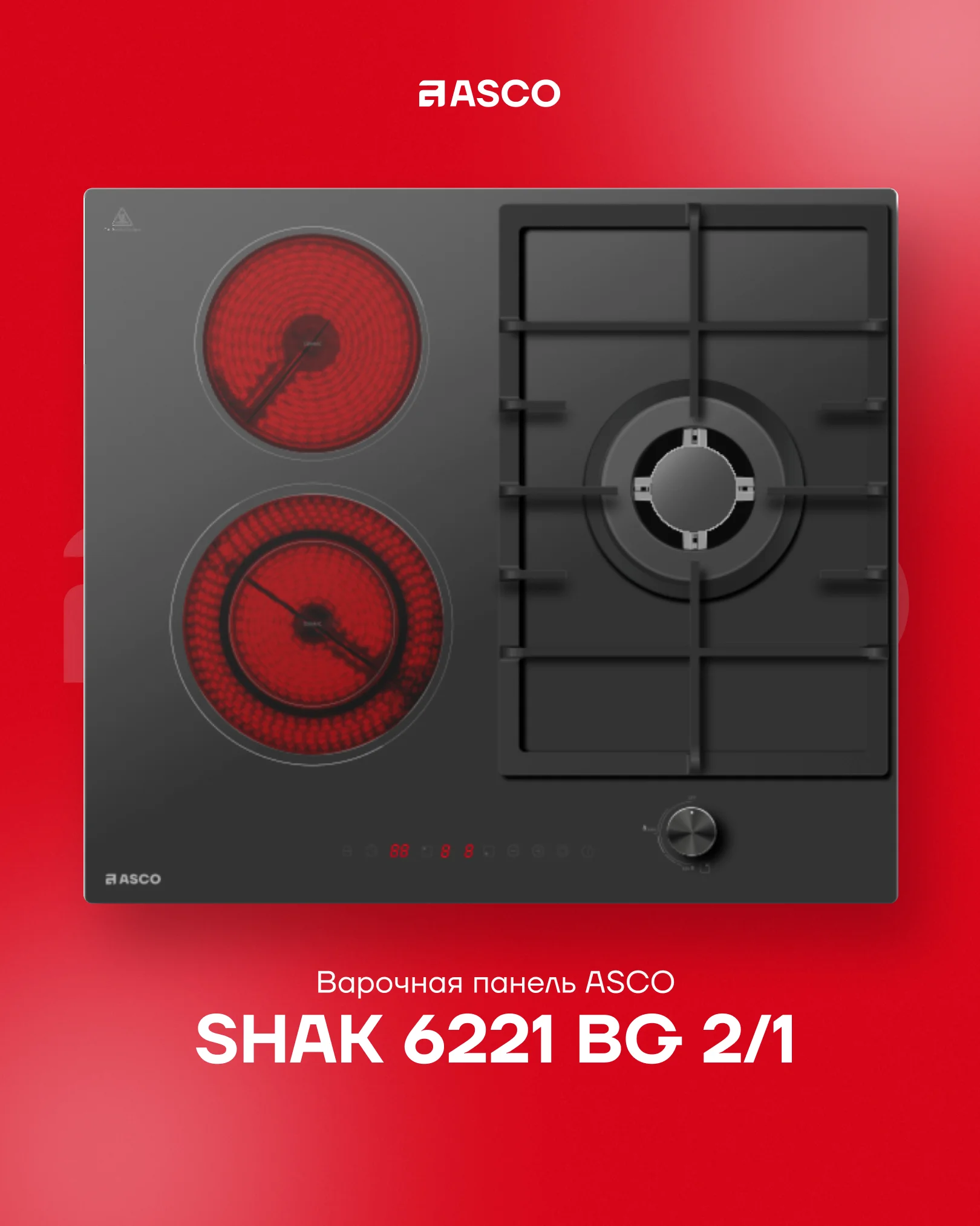SHAK 6221 BG 2/1